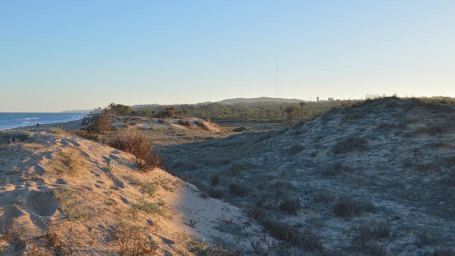 File:Parc Alfonso XIII - Guardamar del Segura, Spain 2024-02-04 (01).jpg